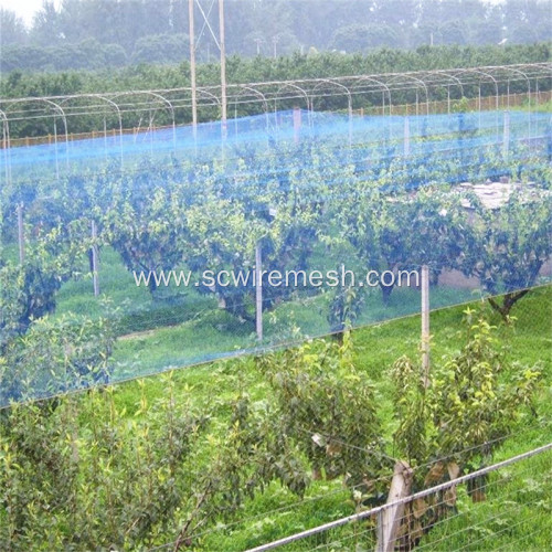 Fruit Tree Safety Plastic Anti Bird Netting